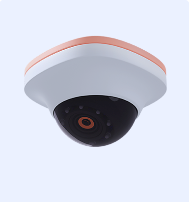 video-surveillance